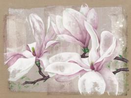 Magnolia #IG 4328 Magnolia #IG 4328