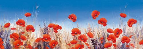 Poppy Landscape #IG 4703 Poppy Landscape #IG 4703