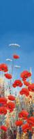 Summer Poppies I #IG 4704 Summer Poppies I #IG 4704