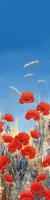 Summer Poppies II #IG 4705 Summer Poppies II #IG 4705