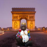 The King of Arc #IG 6480 The King of Arc #IG 6480