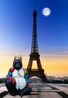 The King of Tower #IG 6481 The King of Tower #IG 6481