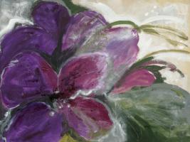 Clematis #IG 6484 Clematis #IG 6484