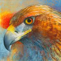Bussard #IG 8274 Bussard #IG 8274