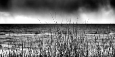 Storm I #IG 8908 Storm I #IG 8908
