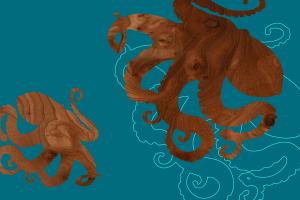 Octopus 1 #82314 Octopus 1 #82314