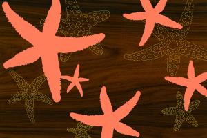 Starfish 2 #82317 Starfish 2 #82317