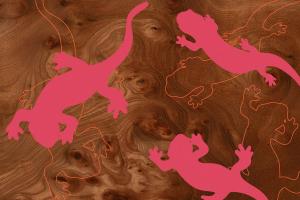 Salamander 2 #82321 Salamander 2 #82321