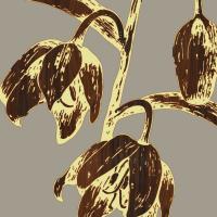 Fritillaria #92773 Fritillaria #92773