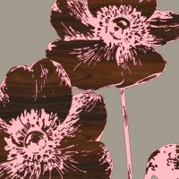 Japanese Anemone #92774 Japanese Anemone #92774