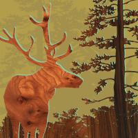 Deer 2 #87208 Deer 2 #87208