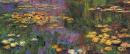 Water Lilies #CM2080